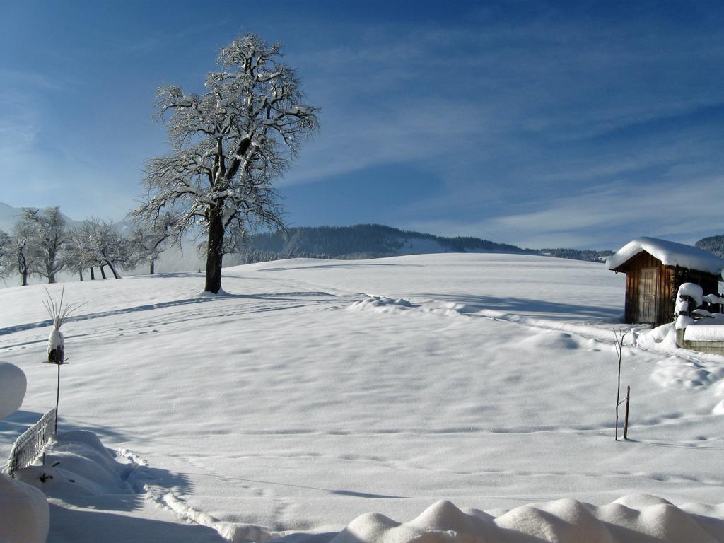 Schweizer Hof Villa Schwarzenberg im Bregenzerwald Eksteriør billede