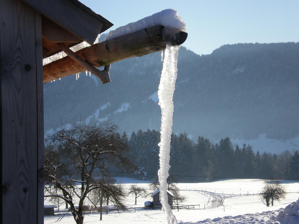 Schweizer Hof Villa Schwarzenberg im Bregenzerwald Eksteriør billede