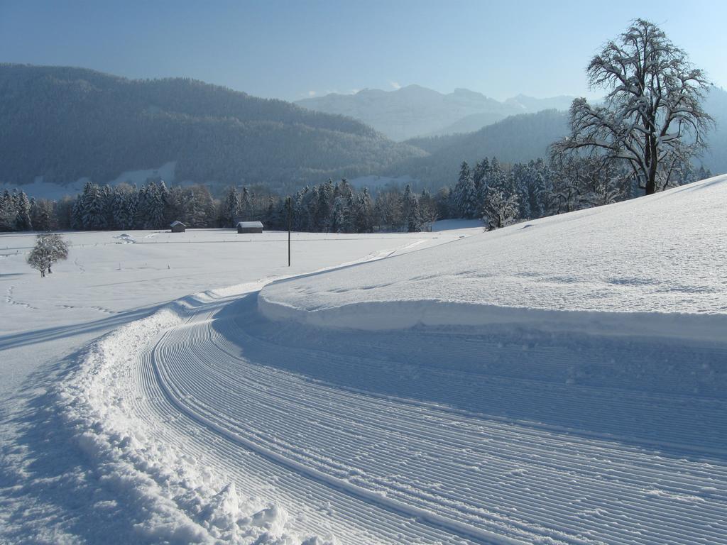 Schweizer Hof Villa Schwarzenberg im Bregenzerwald Eksteriør billede